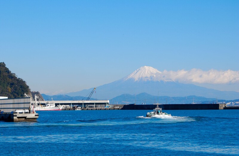 （焼津の漁港と富士山（静岡県）／PIXTA）
