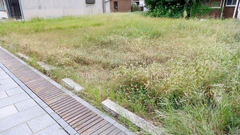 相続した〈形状に難あり〉の土地、相続税額が高すぎる…専門家の“証拠”を用意して税務署と真っ向勝負も、裁決で相続人が“ボロ負け”したワケ【税理士が解説】