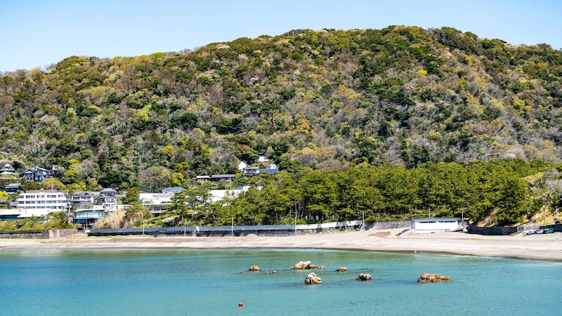 飲食店店主「観光客より、地元の常連が安心」…住民の平均所得は10年で122万円増加〈神奈川県・葉山〉の実態【取材】
