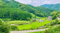 東京に、帰りたい…〈年収600万円〉生まれ故郷・四国に移住した52歳女性「都会に未練はない」が一変したワケ