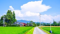 「田舎暮らしに憧れた私がバカだった」…60代夫婦の〈地方移住失敗記〉