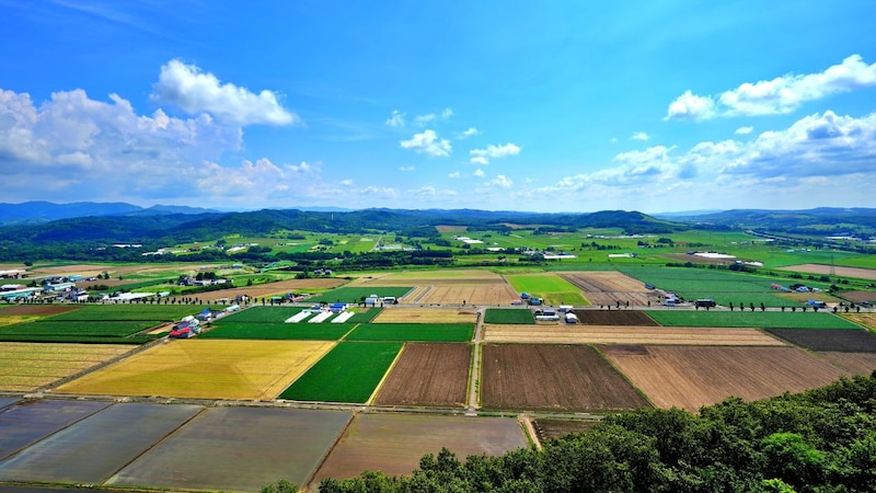 富裕層が密かに「北海道の農地」を買っている理由…お金が紙くずに、貧富の差が覆るかもしれない“史上最悪の日”に備える戦略