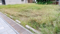 相続した〈形状に難あり〉の土地、相続税額が高すぎる…専門家の“証拠”を用意して税務署と真っ向勝負も、裁決で相続人が“ボロ負け”したワケ【税理士が解説】