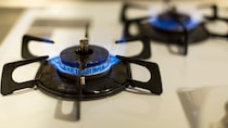 ▼安心して買える“優良株”…投資のプロが「狙い目の6銘柄」を紹介