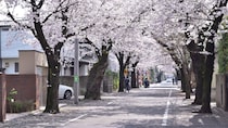 日本人富裕層すら「もう東京に家なんて買えない」…坪単価250万円の世田谷の駅遠物件が、数年で400万円以上に。「タワマン」を買い尽くした海外投資家が次に狙う「私鉄沿線の高級住宅街」