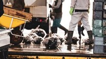 ▼マグロ漁船なんて乗るんじゃなかった…親の借金「5,000万円」返済に挑む17歳の“ヤンチャ少年”が手にした「衝撃の給与額」【実話】