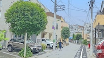 エントリーモデルは300万円台から…日本の道路事情も人気に影響？ 今年1～3月に売れた「輸入車ランキング」TOP3【新車登録台数】