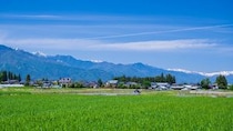 地方移住の相談件数は驚異の43万件超えで過去最多を更新…都会からの脱出を目論む「地方移住検討者」が選んだ〈人気移住先ランキング〉TOP3【都道府県版】