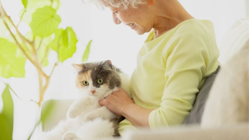 「私、猫飼いたい!」19歳長女の願いで〈連帯債務の35年ローン〉を組んだ年収300万円・44歳シングルマザー。数年後、家を出る際の〈まさかの一言〉に絶句【CFPが警告】