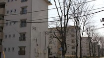 「孫のために買った家、ムダでした」…年金月21万円・72歳夫婦〈3LDK・庭付き一軒家〉から〈2DKの団地〉へ引っ越した理由