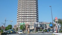 30代長男の死…嫁は「私たちを頼らないでください」と言い残し、孫を連れて海外移住。食堂で働き詰めの高齢母が、涙をこらえて遺した〈まさかの遺言書〉