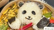 「同じ商品なのに、どうした？」　可愛い「パンダ弁当」の〝個体差〟に8.9万人驚がく