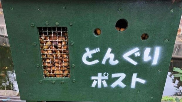 日立市かみね動物園公式Xアカウント(@HitachiCity_Zoo)の投稿より、再掲