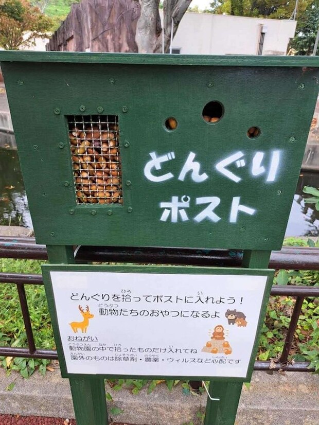 「日立市かみね動物園(公式)アカウント(@HitachiCity_Zoo)の投稿より