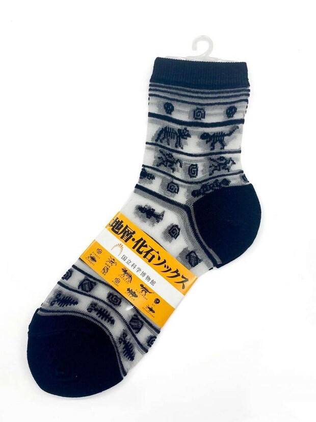 画像提供:国立科学博物館