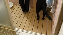 「犬は飼い主に似る説」証明する1枚、激写される　浴室での〝後ろ姿〟に4.6万人もん絶「種族超えた家族」