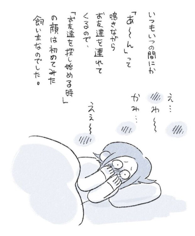 作者:In.S_そーい(@In_s_soi)さん