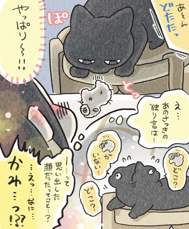 作者:In.S_そーい(@In_s_soi)さん