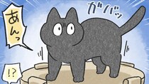 夜、愛猫が急に「独り言」を言い出して...　後に判明した〝理由〟が可愛すぎる件