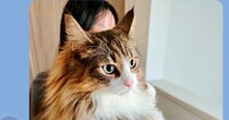 愛猫の成長を祖母に報告した結果　→まさかの返信に15万人爆笑「面白すぎる」「猫には見えなかったんですね」