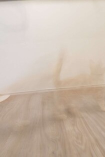 かわいい子猫を撮影→衝撃の仕上がりに2.9万人驚がく　「光学迷彩！？」「心霊現象」