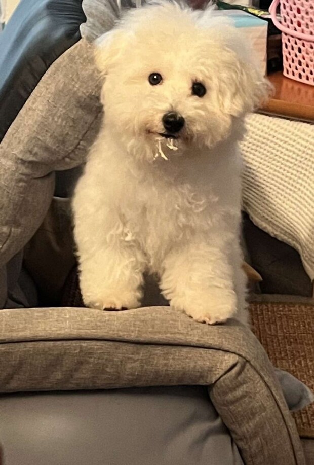 んぽちゃむだったころのパポテさん