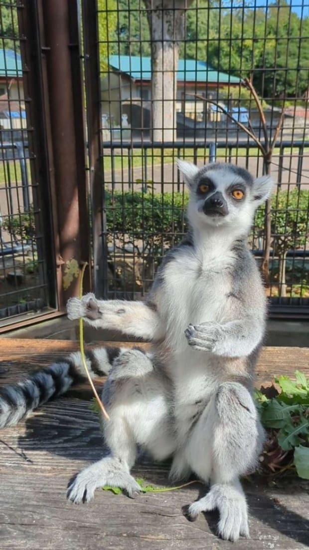 おいしかった?(画像提供:市川市動植物園)