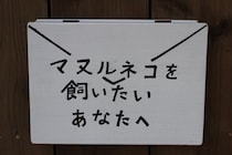 あなたの「飼いたい」が動物を絶滅させる　とある動物園に掲示されたメッセージが深い