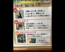 うるさい鳥が「スタッフの声をかき消すよ」　飼育員の隠しきれない苛立ちを感じるポスターが話題