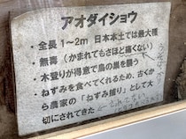 「かまれても痛くない」「←うそばっかり」　とある動物園の「ツッコミ落書き」看板に爆笑