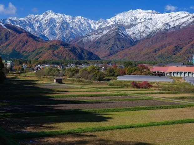 「てん」さん(@TMV250_)の投稿より