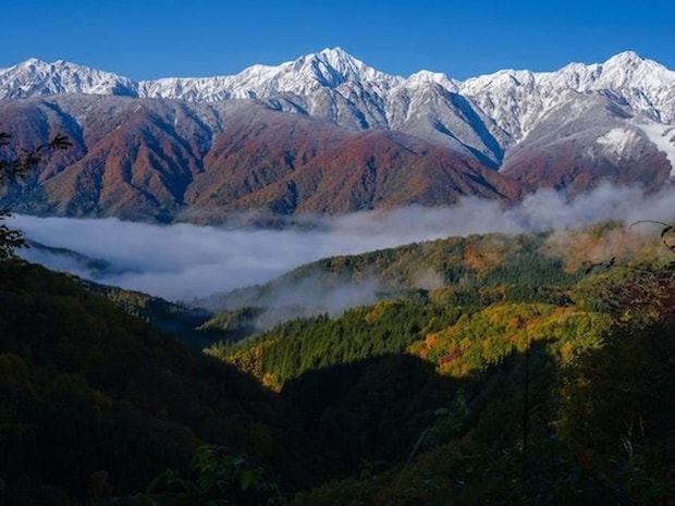 「てん」さん(@TMV250_)の投稿より