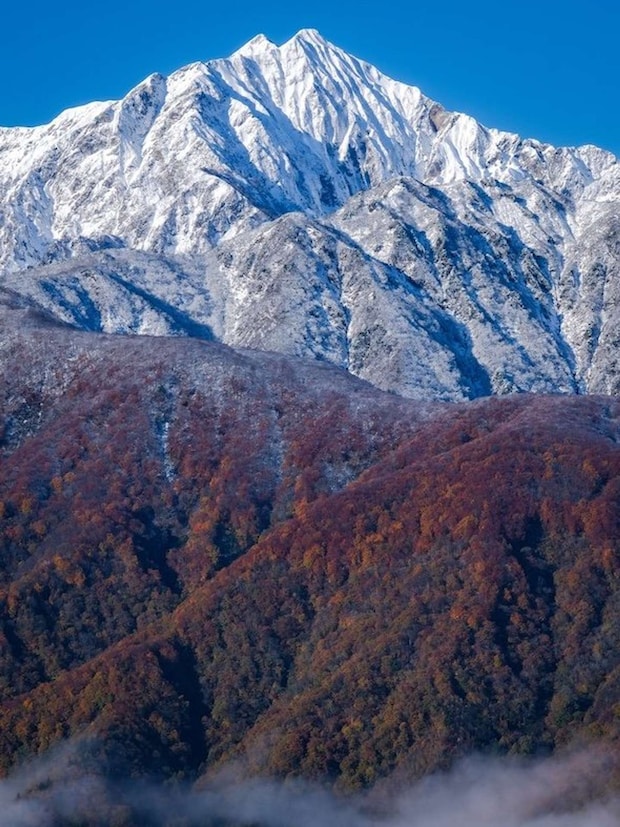 「てん」さん(@TMV250_)の投稿より