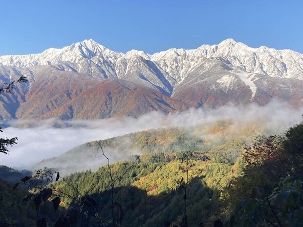 「てん」さん(@TMV250_)の投稿より