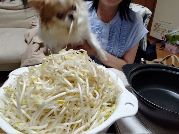 失敗...(画像は再掲)