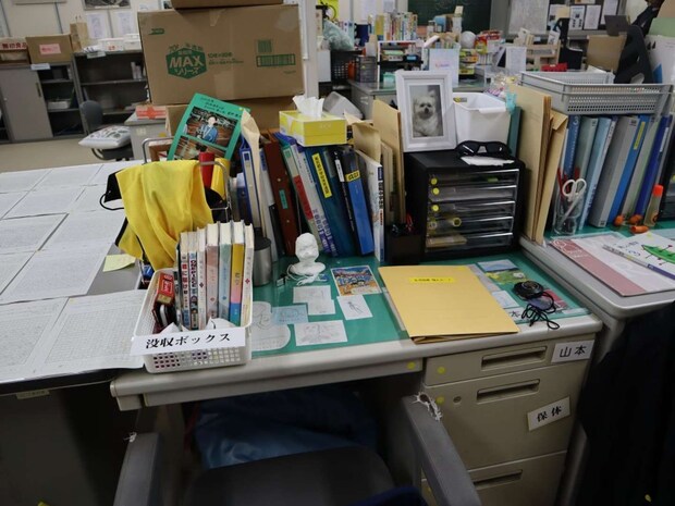 触っていいの...?