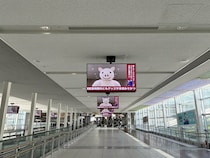 「デスゲーム会場になるの怖すぎる」　中部国際空港をジャックした〝ヤバ豚〟に14万人戦慄