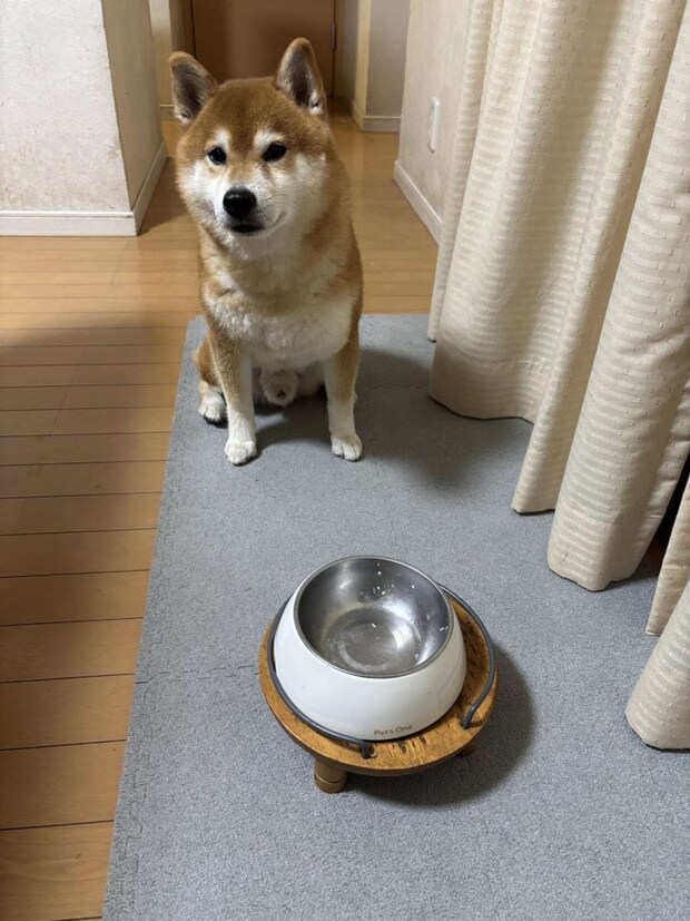 お上手!(画像提供:@kotaro_changさん)