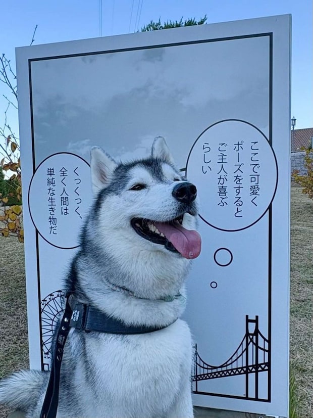 ご主人だけでなくXユーザーが大歓喜≪画像提供:moto(@motoro_ka)さん、再掲≫