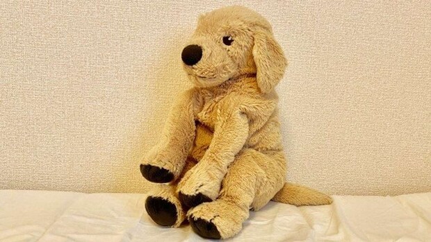 お気に入りのぬいぐるみを失くして...(画像はphotoACより、イメージ)