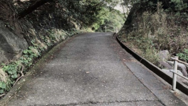 坂道を駆け下りて...(画像はphotoACより、イメージ)