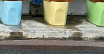 バス停にむき出しで並ぶ〝カラフル便器〟の正体は...　愛知・常滑市に衝撃の光景が爆誕してた