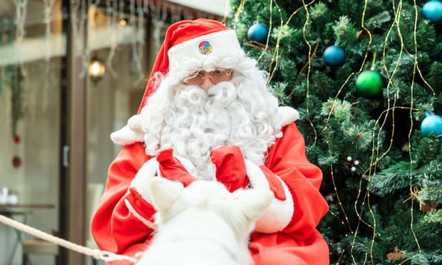 フィンランドから飛んできたぞい(画像はプレスリリースより)