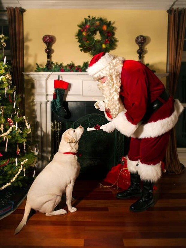 サンタさんからプレゼント!(画像はプレスリリースより)