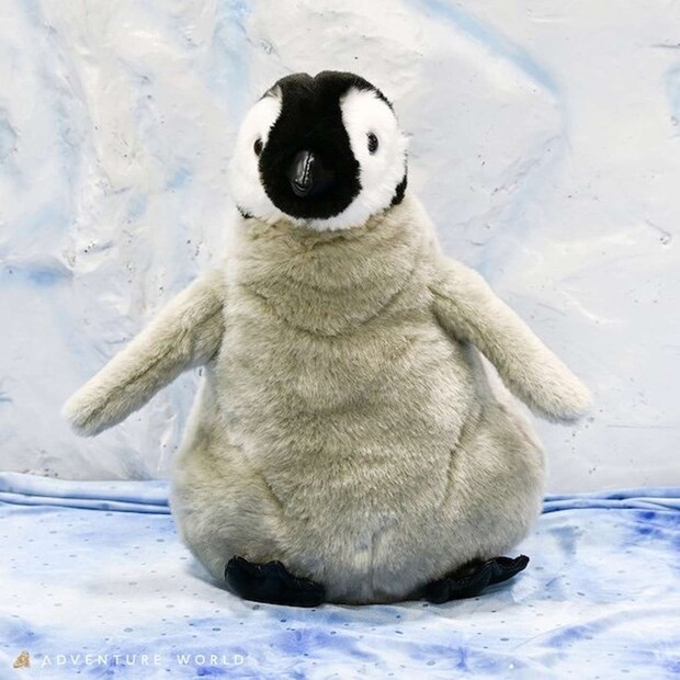 エンペラーペンギンの赤ちゃんのぬいぐるみ 画像提供:アドベンチャーワールド