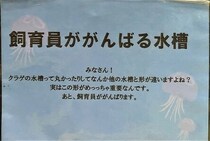 水族館の本音ダダ漏れ！　クラゲ飼育の大変さ訴えた「飼育員ががんばる水槽」話題