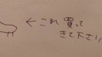 妻から渡された〝おつかいメモ〟に9.3万人困惑「何買ってきたらいい？」　→翌日夫が披露したのは...