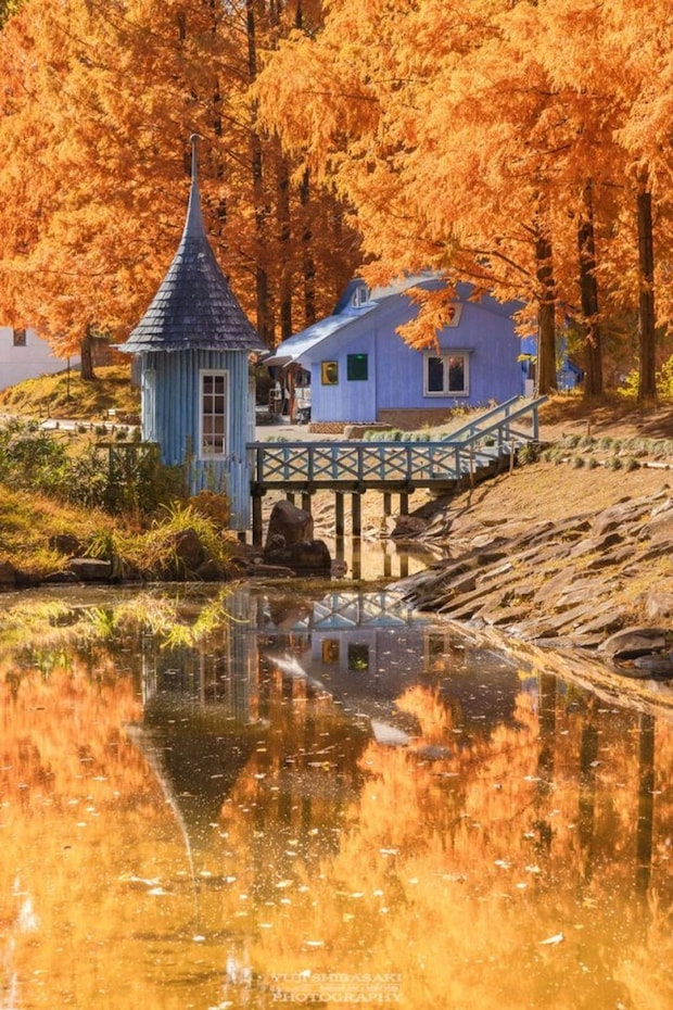 Yuji Shibasaki(@Yuji_48)さんの投稿より