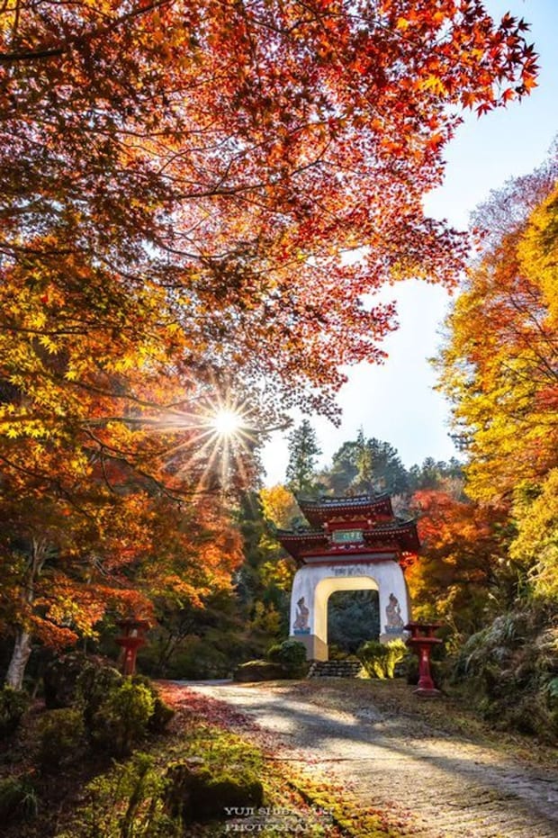 鳥居観音の紅葉(Yuji Shibasaki(@Yuji_48)さんの投稿より)