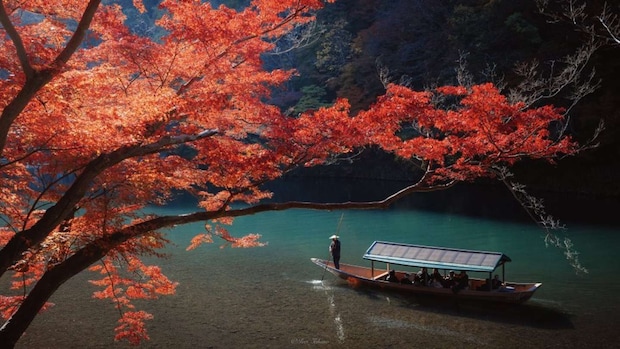 Iori Takano(@_iori_xx21)さんの投稿より、嵐山の秋